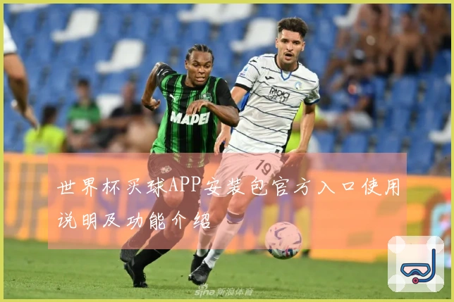 世界杯买球APP安装包官方入口使用说明及功能介绍